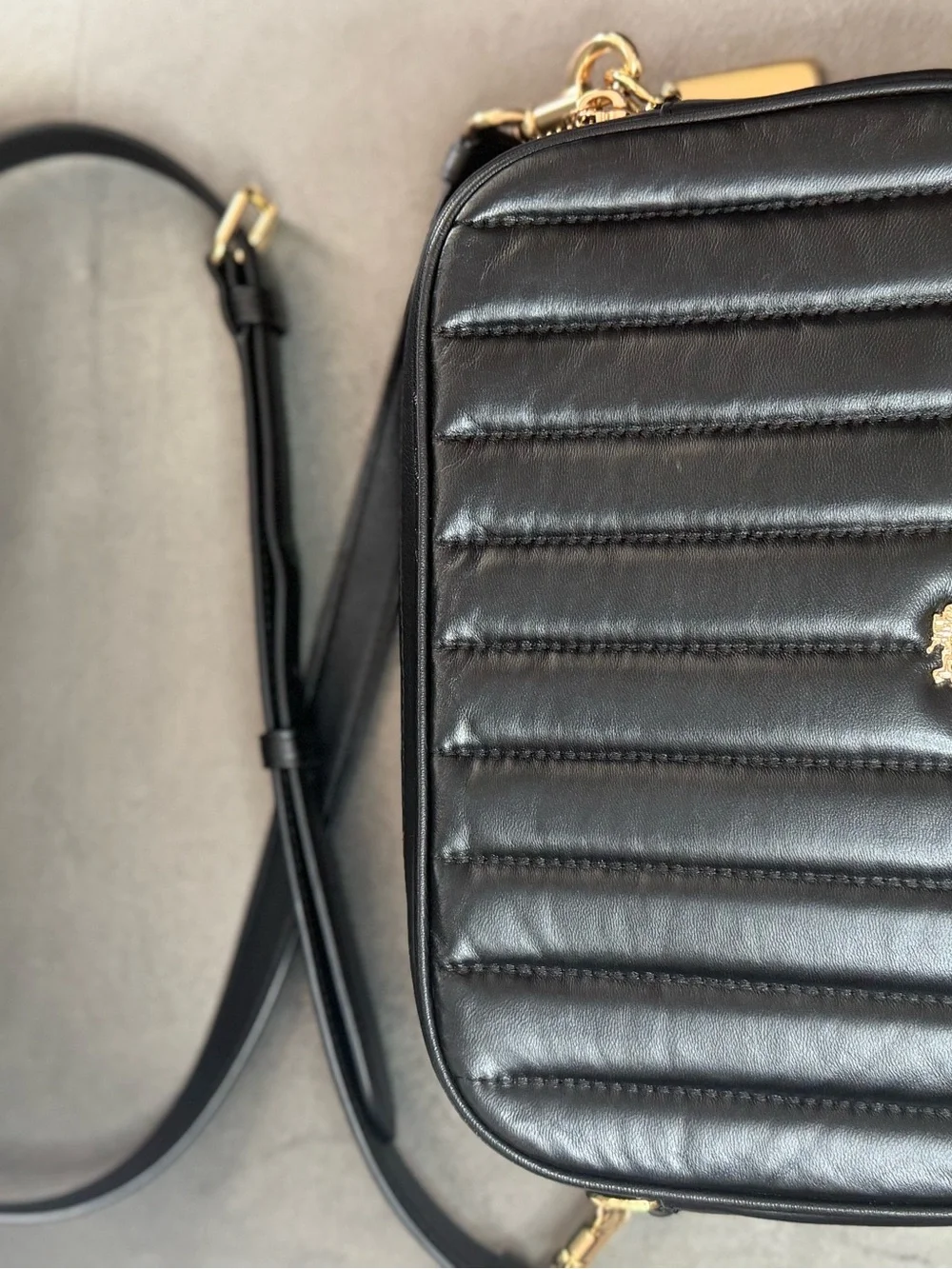 Coach free adjustable